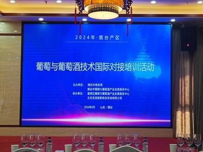 煙臺科技學(xué)院組織教師參與煙臺產(chǎn)區(qū)葡萄與葡萄酒技術(shù)國際對接培訓(xùn)活動，提升教育服務(wù)能力