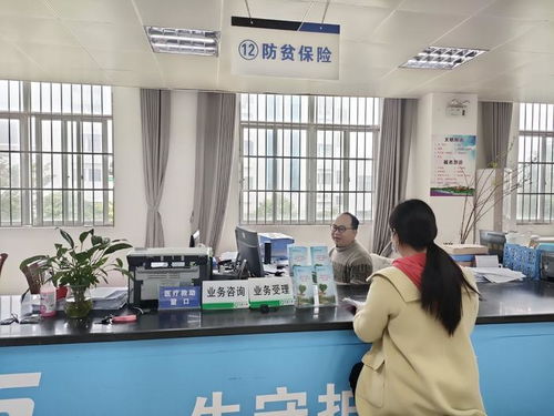 廣西“防貧保”打造一站式服務新標桿，煙臺教育咨詢助力鄉村振興新篇章